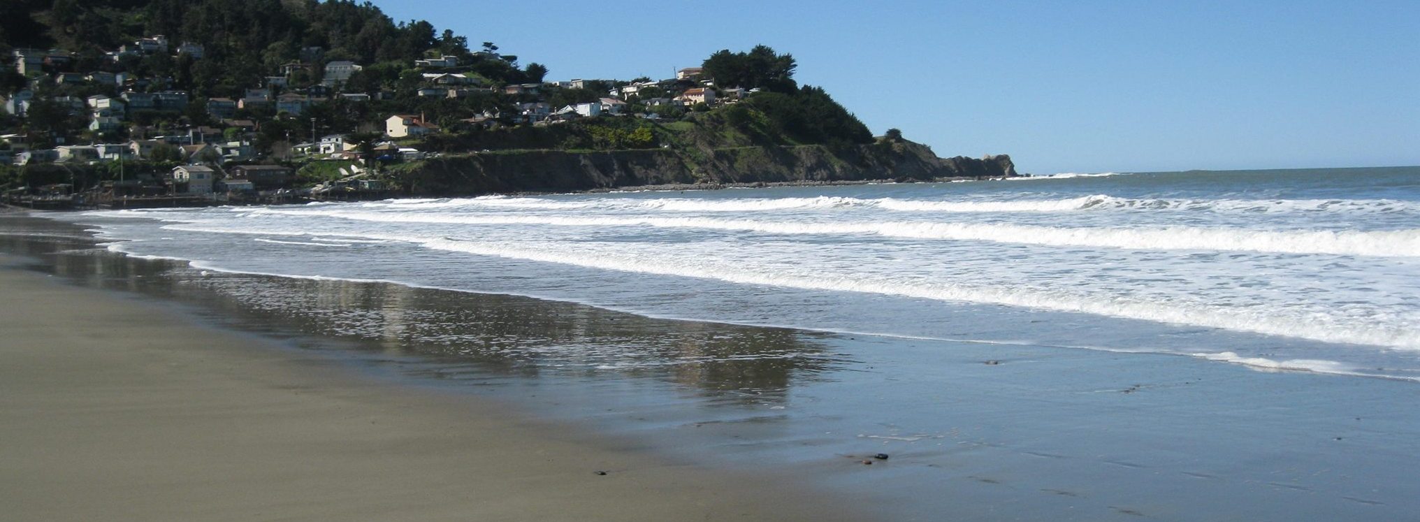 Adopt Your Beach Pacifica Coalition Adopt Your Beach