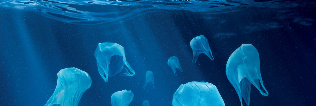 Plastic Bags In Our Environment Pacifica Beach Coalition Plastic Bags In Our Environment