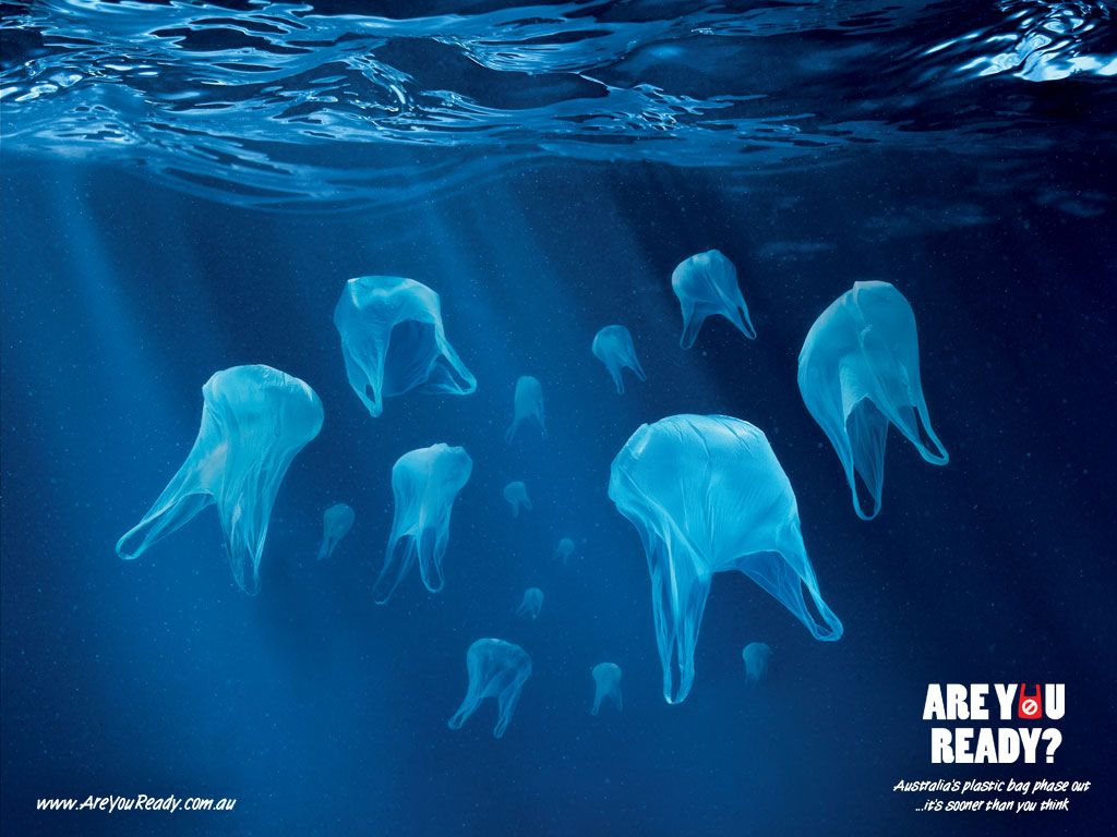 Plastic Bags In Our Environment Pacifica Beach Coalition Plastic Bags In Our Environment