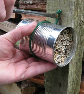 DIY: Make a Bee House with Recycled Materials - Pacifica ...