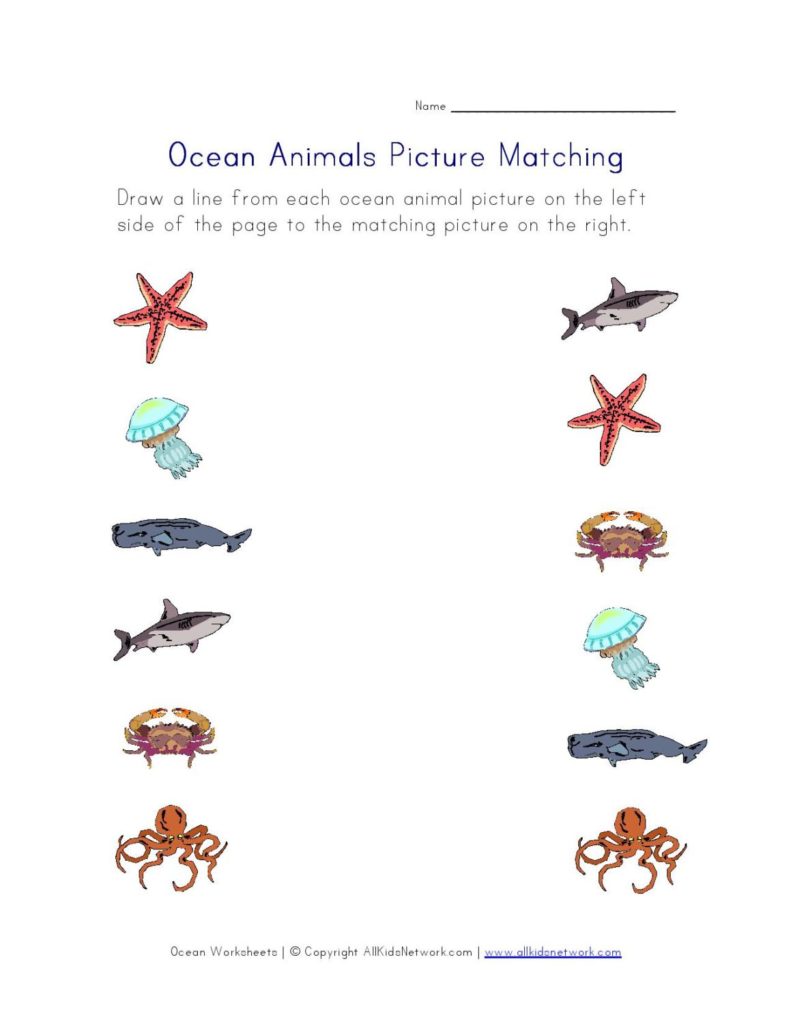 Activities And Worksheets For Preschoolers Pacifica Beach Coalition